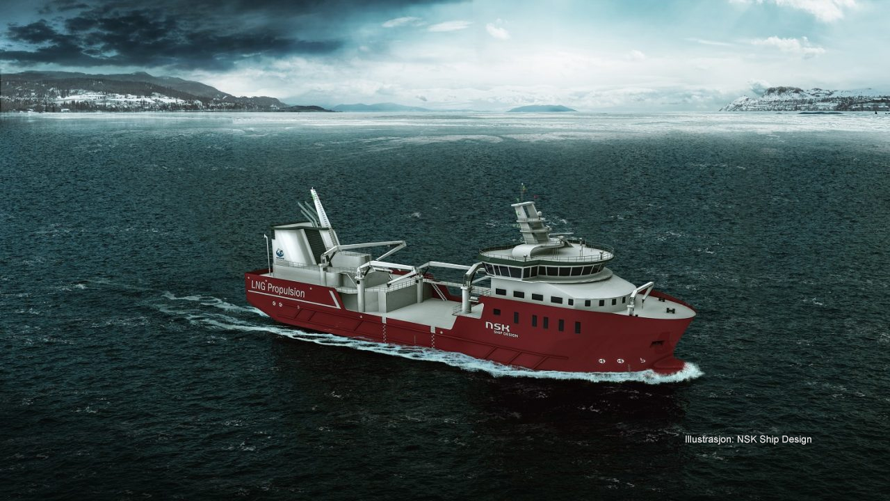 Bjørg Pauline illu.